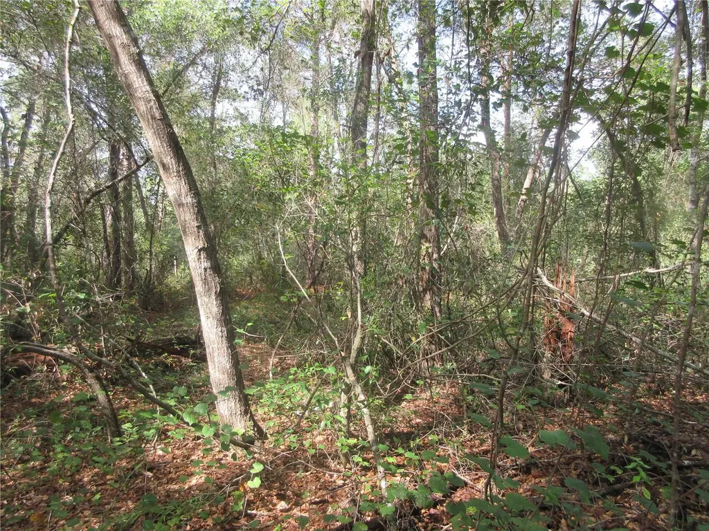 NE 171st Court Silver Springs FL 34488
