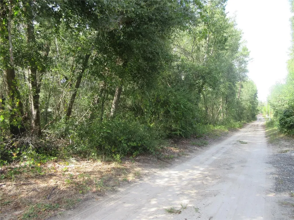 NE 171st Court Silver Springs FL 34488