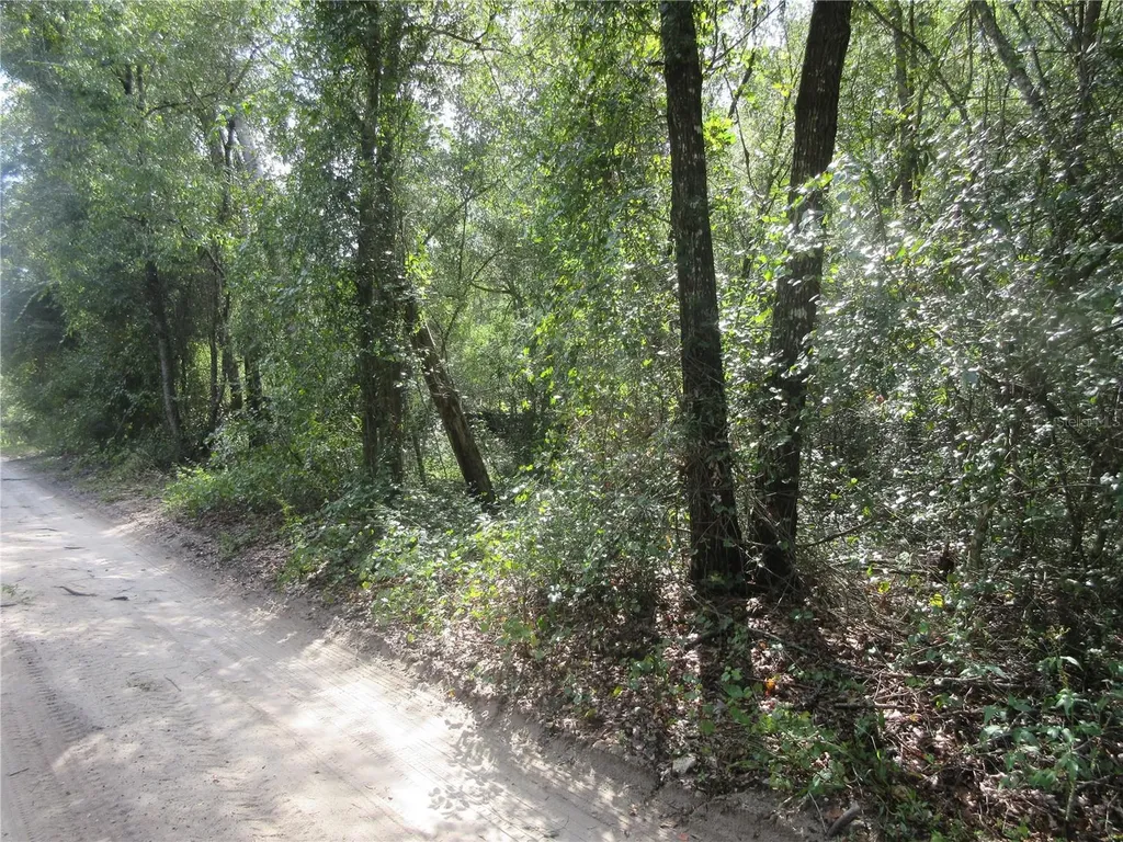 NE 171st Court Silver Springs FL 34488