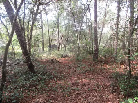 NE 171st Court Silver Springs FL 34488