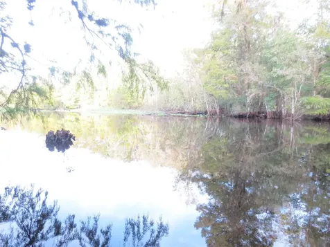 NE 171st Court Silver Springs FL 34488