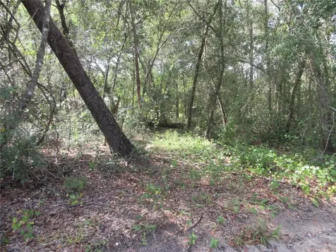 NE 171st Court Silver Springs FL 34488