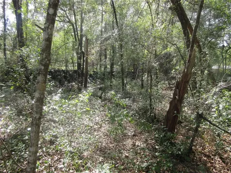NE 171st Court Silver Springs FL 34488