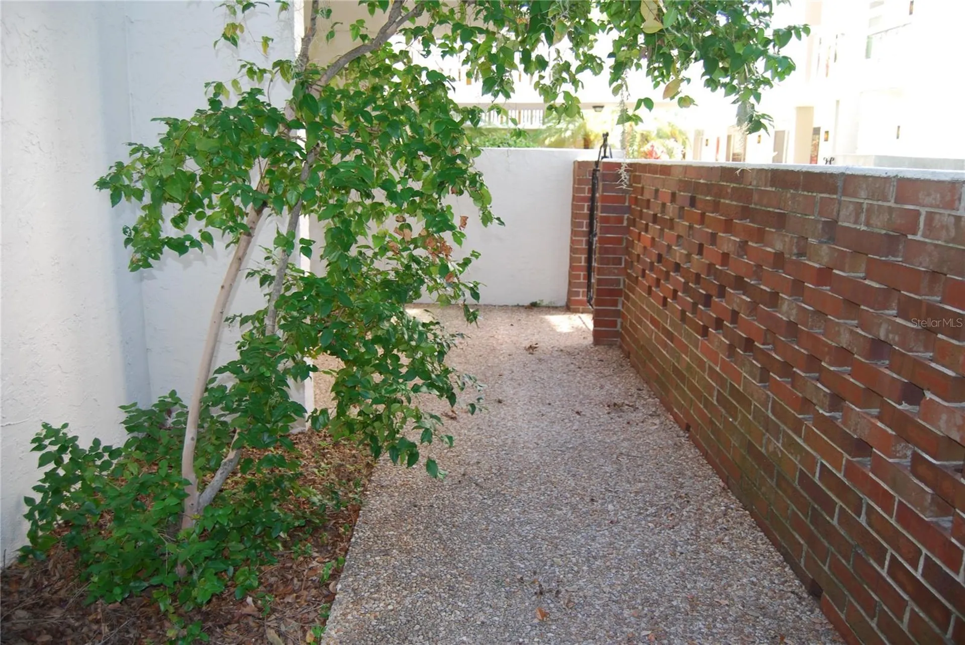 2650 Pearce Drive Clearwater FL 33764