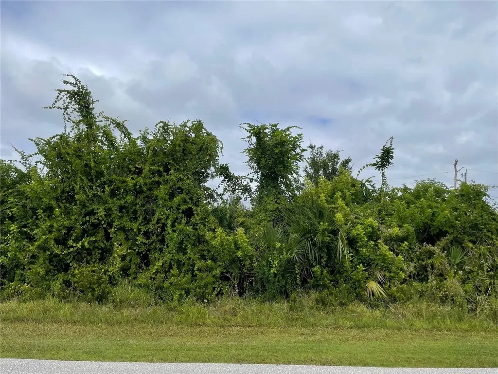 11216 Carnegie Avenue Englewood FL 34224