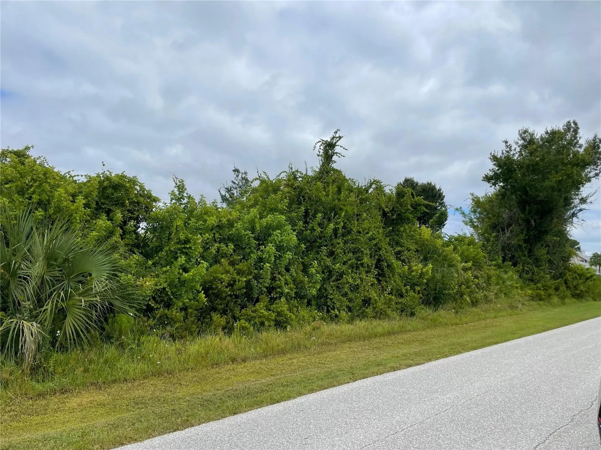 11216 Carnegie Avenue Englewood FL 34224