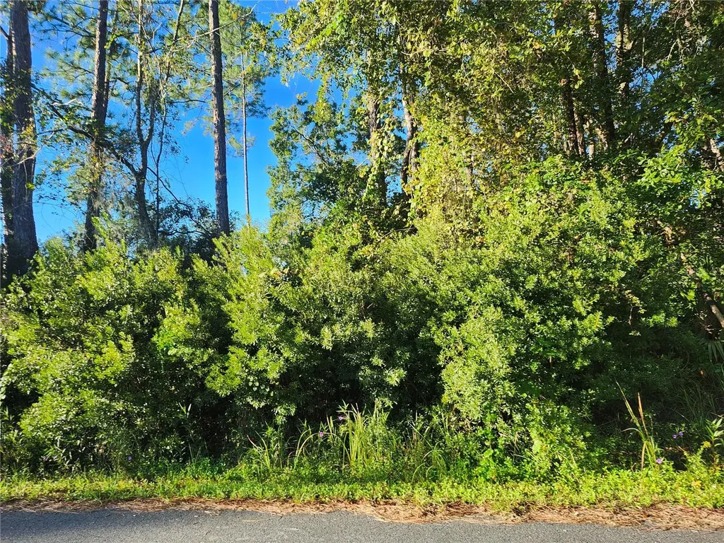Tbd Redwood Track Course Ocala FL 34472