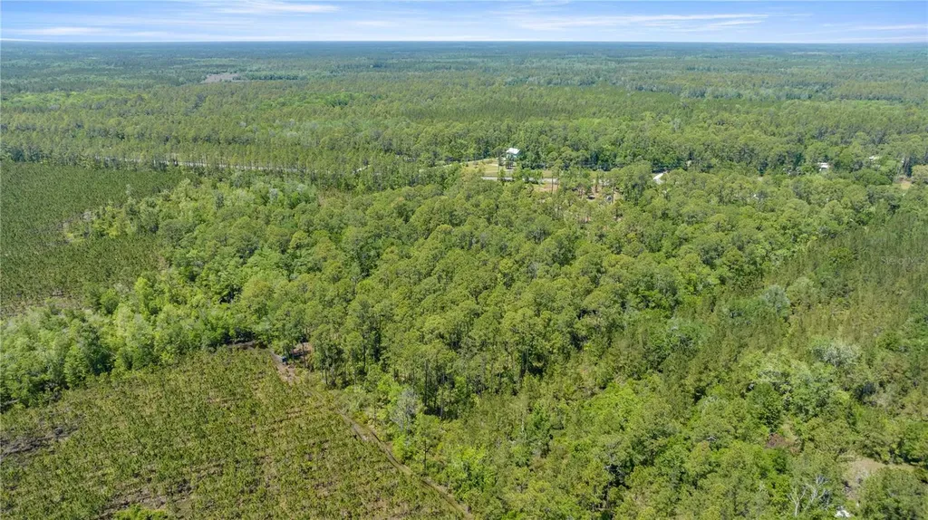 1351 SW State Road 24 Chiefland FL 32626