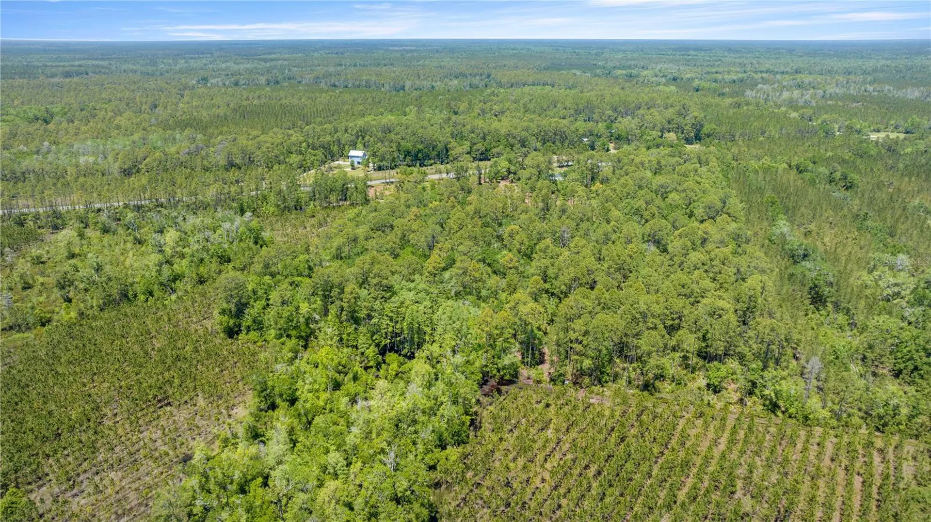 1351 SW State Road 24 Chiefland FL 32626