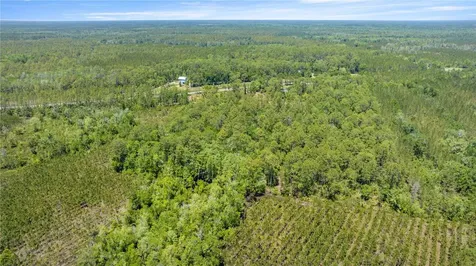 1351 SW State Road 24 Chiefland FL 32626