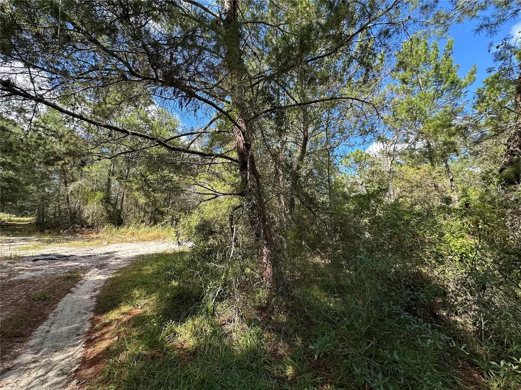Tbd NE 138th Avenue Williston FL 32696