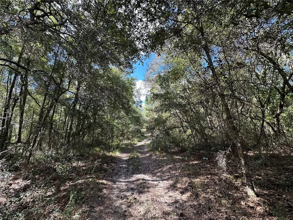 Tbd NE 138th Avenue Williston FL 32696