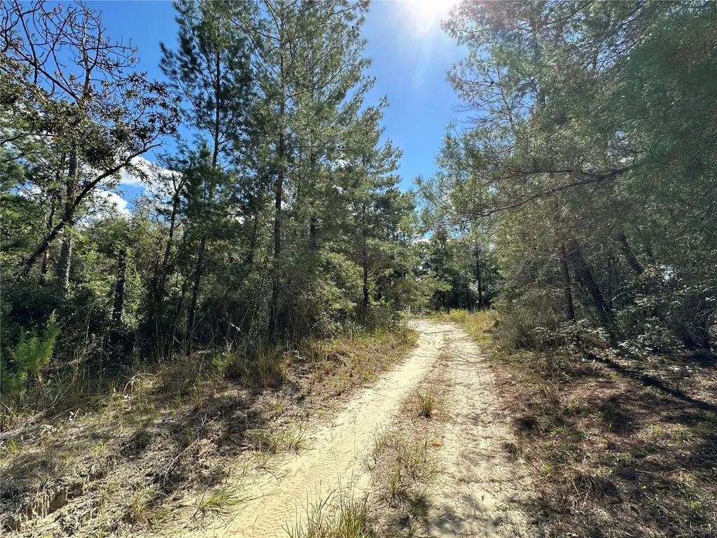 Tbd NE 138th Avenue Williston FL 32696
