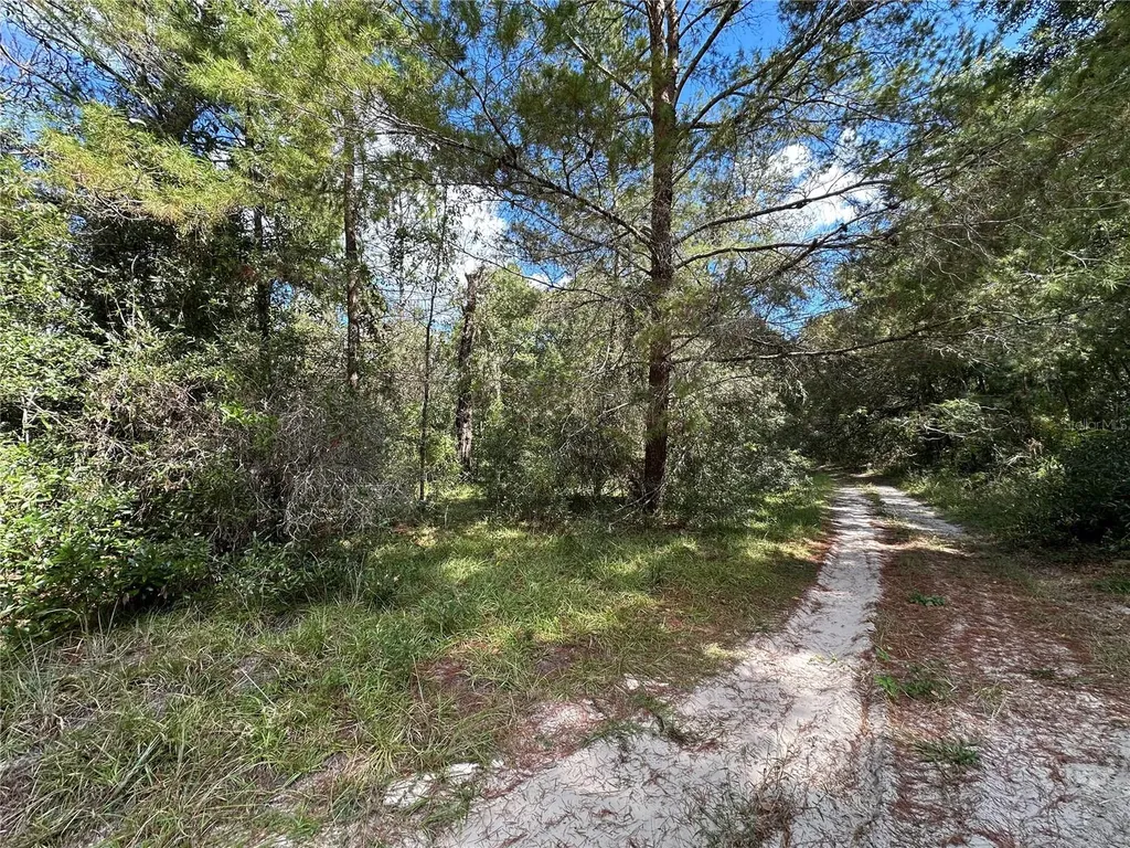 Tbd NE 138th Avenue Williston FL 32696
