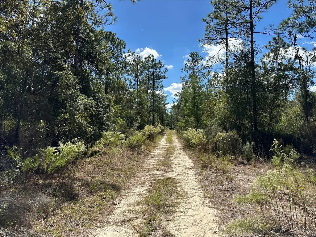 Tbd NE 138th Avenue Williston FL 32696
