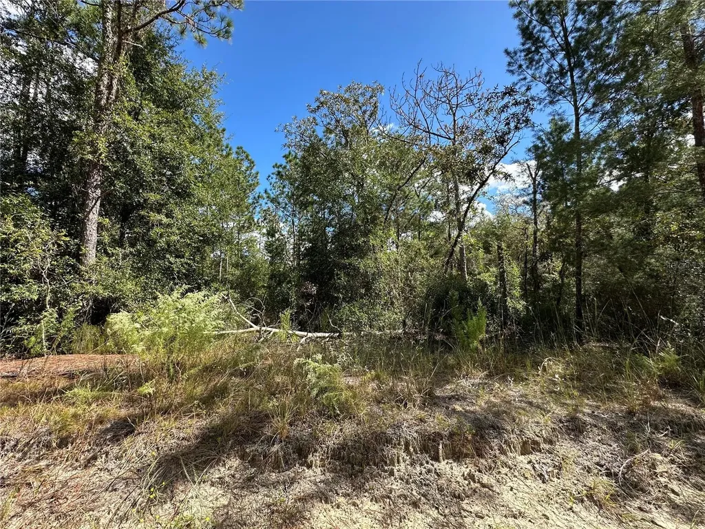 Tbd NE 138th Avenue Williston FL 32696