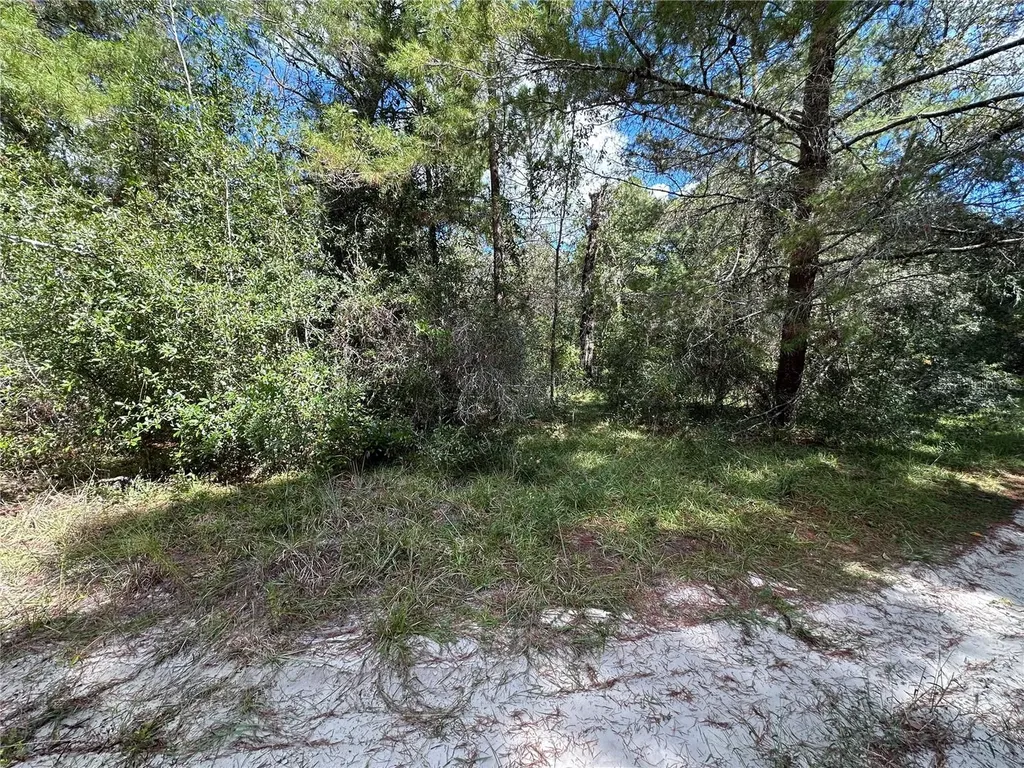 Tbd NE 138th Avenue Williston FL 32696