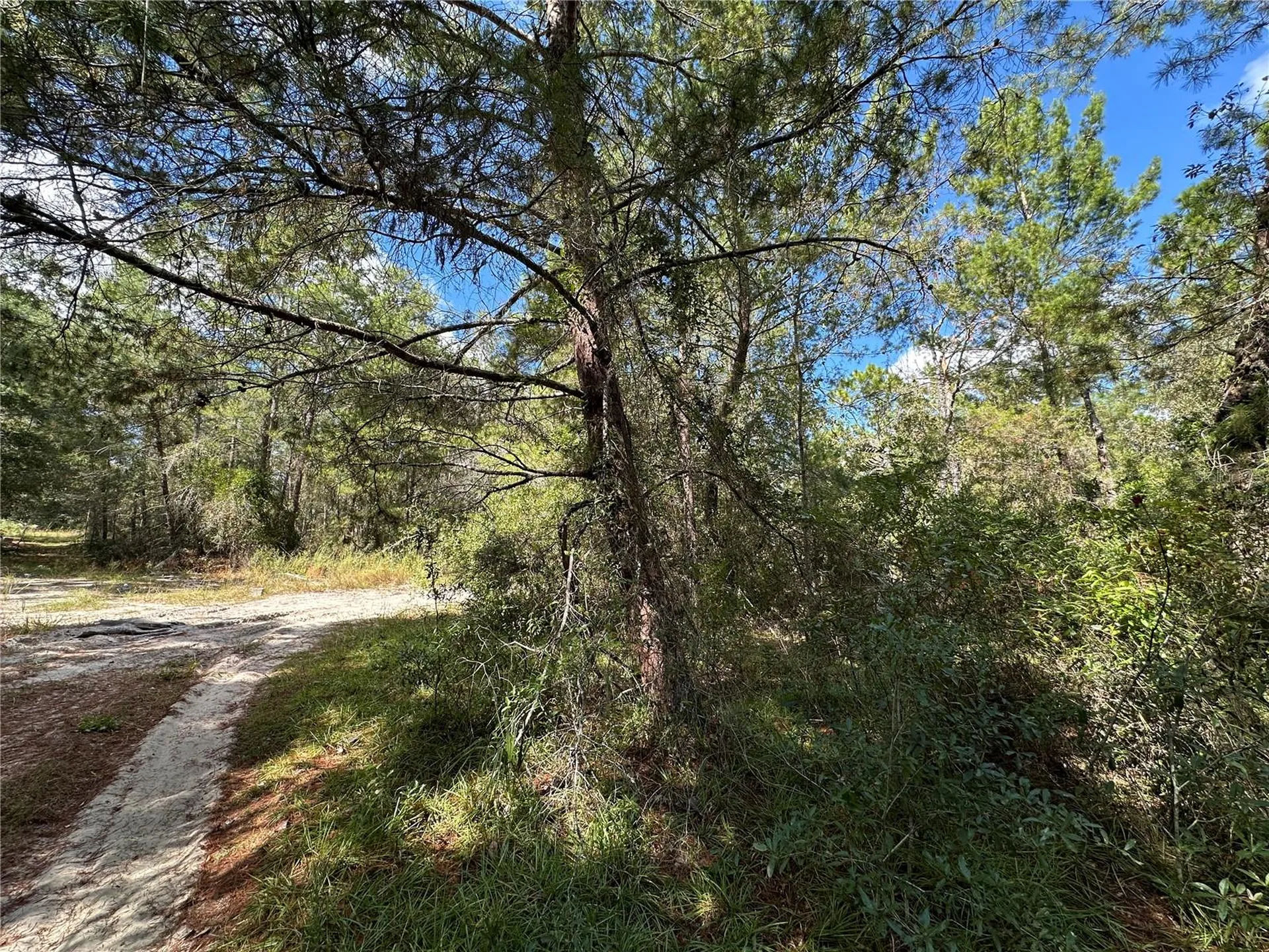 Tbd NE 138th Avenue Williston FL 32696