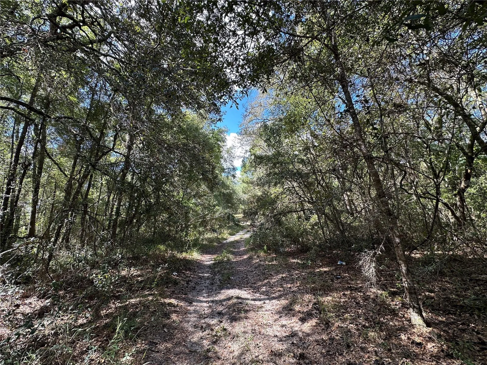 Tbd NE 138th Avenue Williston FL 32696
