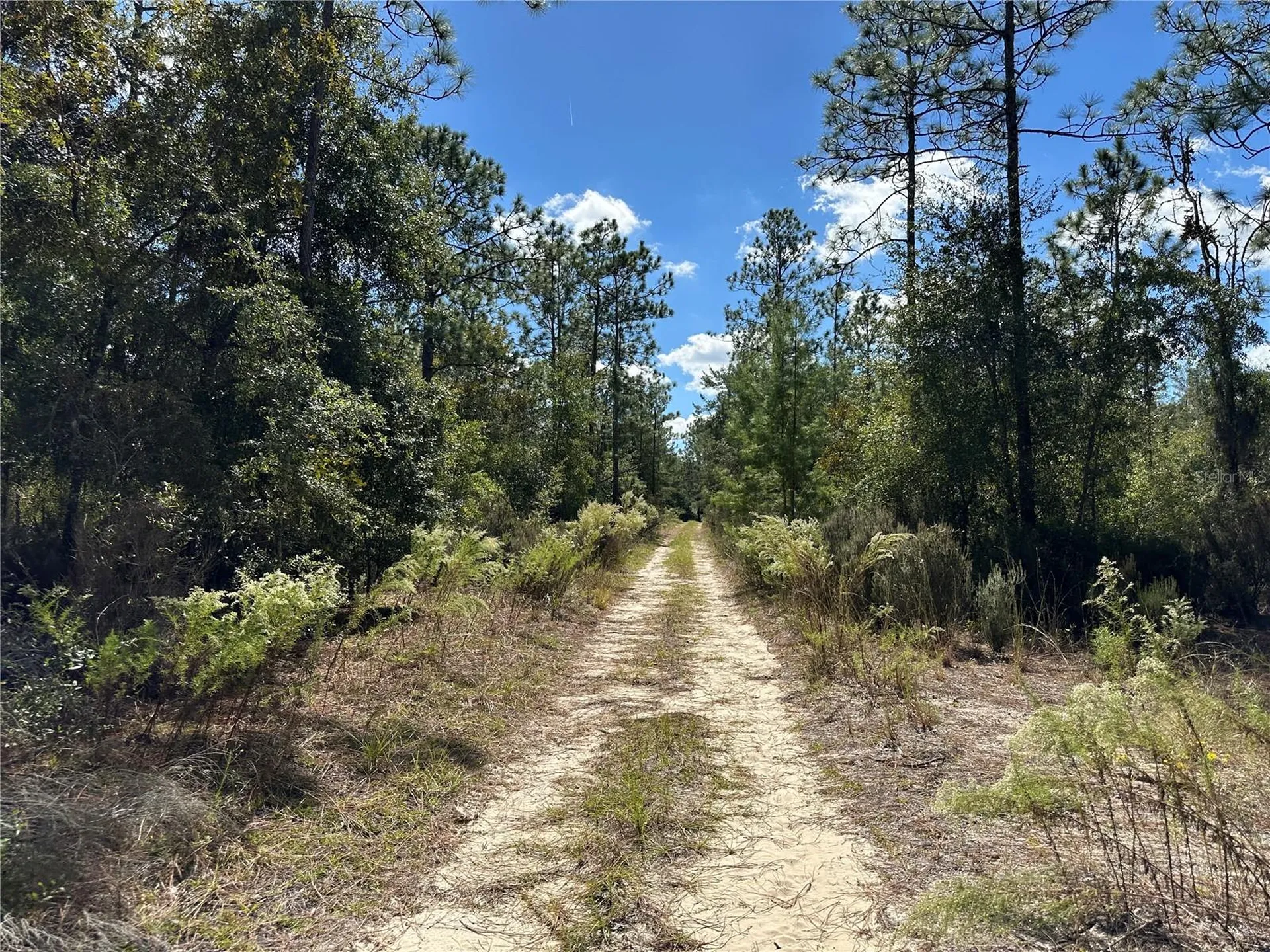 Tbd NE 138th Avenue Williston FL 32696
