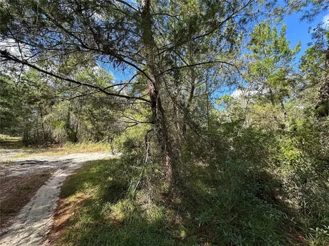 Tbd NE 138th Avenue Williston FL 32696