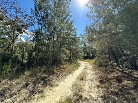 Tbd NE 138th Avenue Williston FL 32696