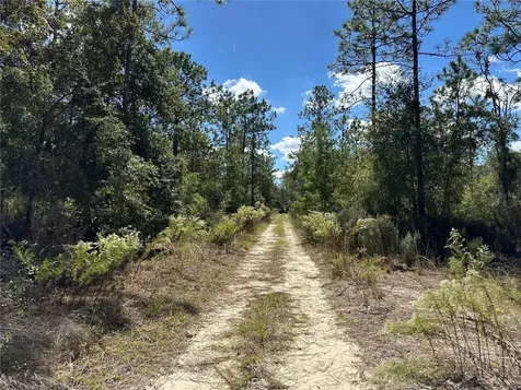 Tbd NE 138th Avenue Williston FL 32696