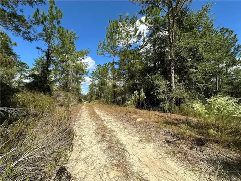 Tbd NE 138th Avenue Williston FL 32696