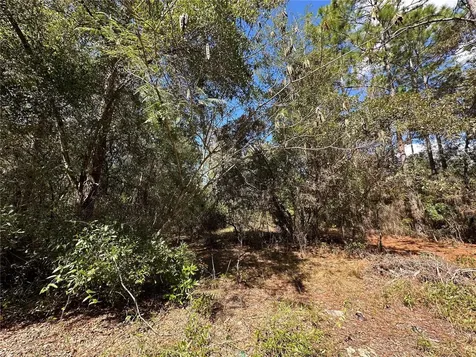Tbd NE 138th Avenue Williston FL 32696