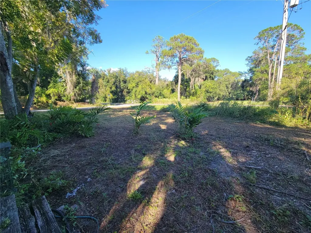 15031 SE 189th Place Hawthorne FL 32640