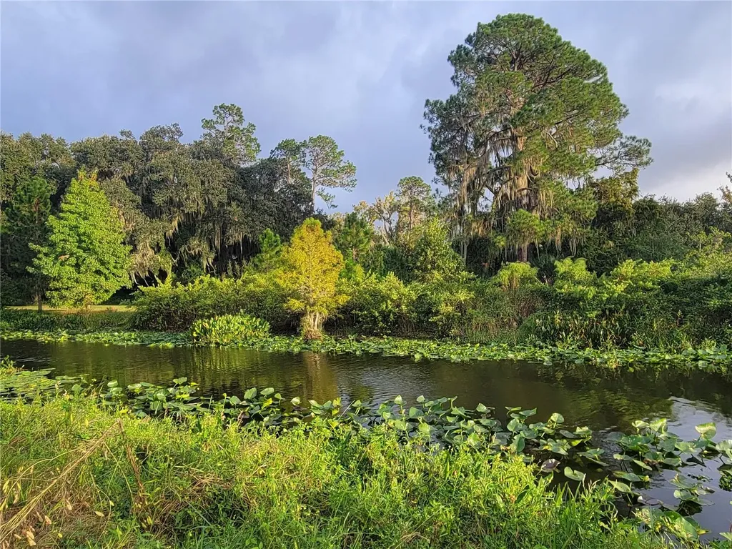 15031 SE 189th Place Hawthorne FL 32640