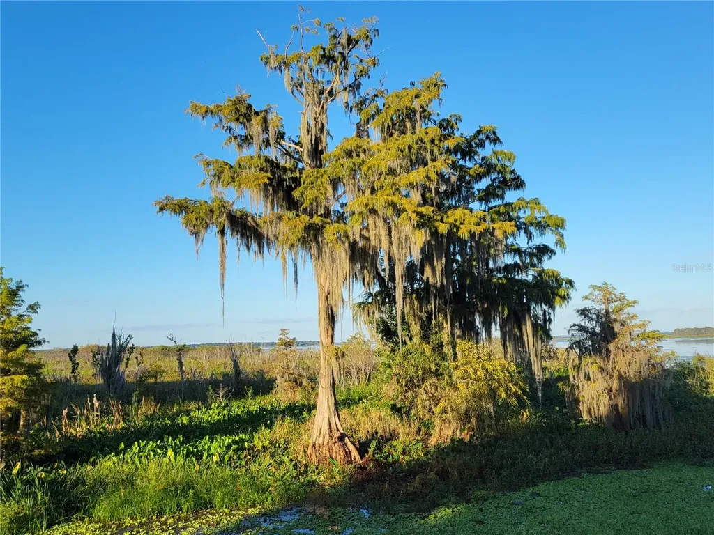 15031 SE 189th Place Hawthorne FL 32640