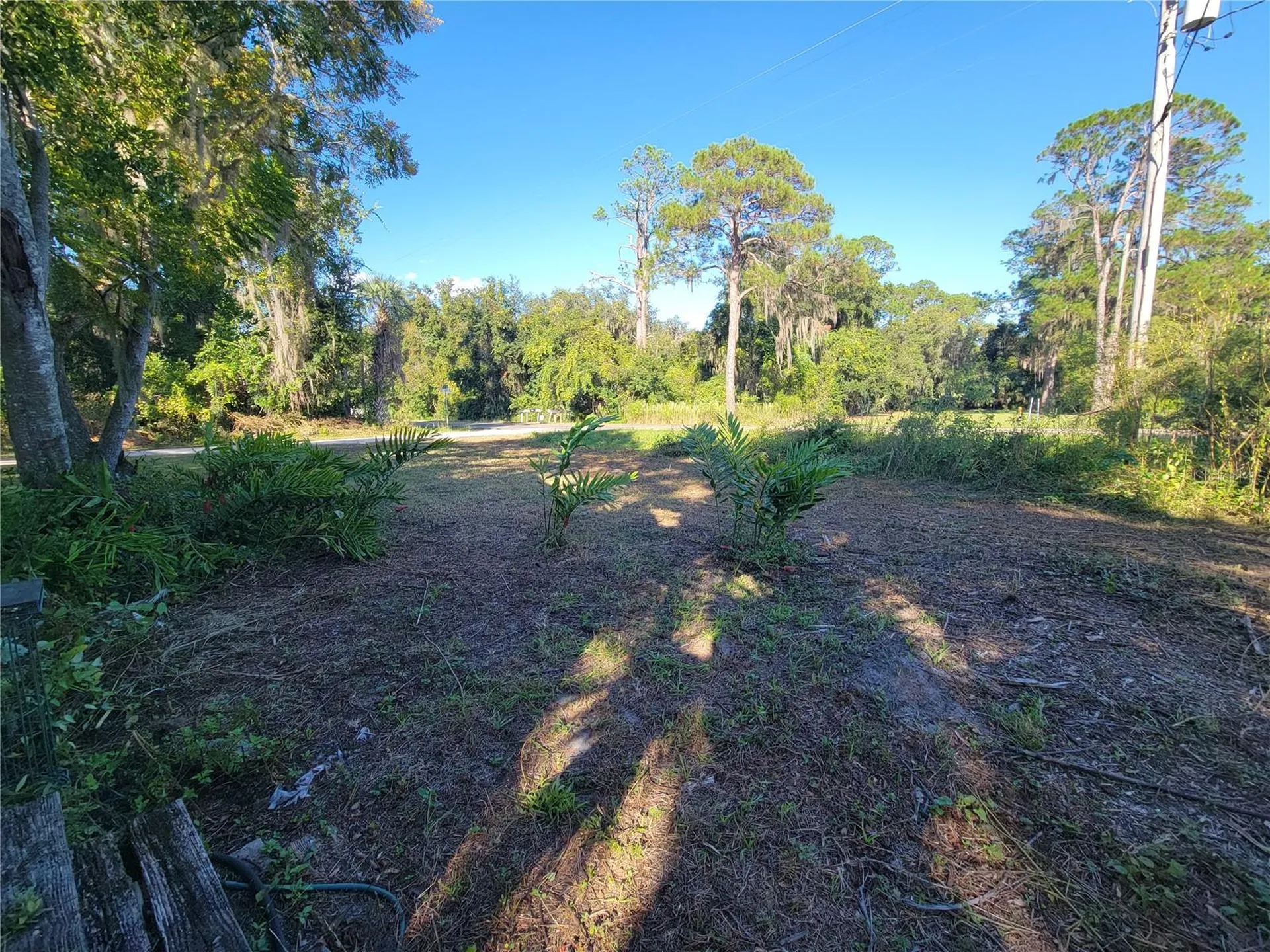 15031 SE 189th Place Hawthorne FL 32640