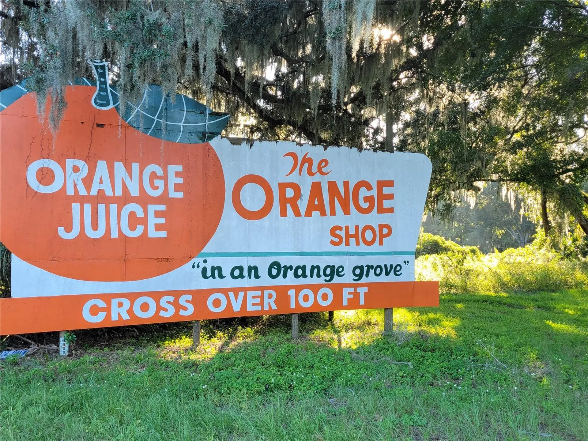 15031 SE 189th Place Hawthorne FL 32640