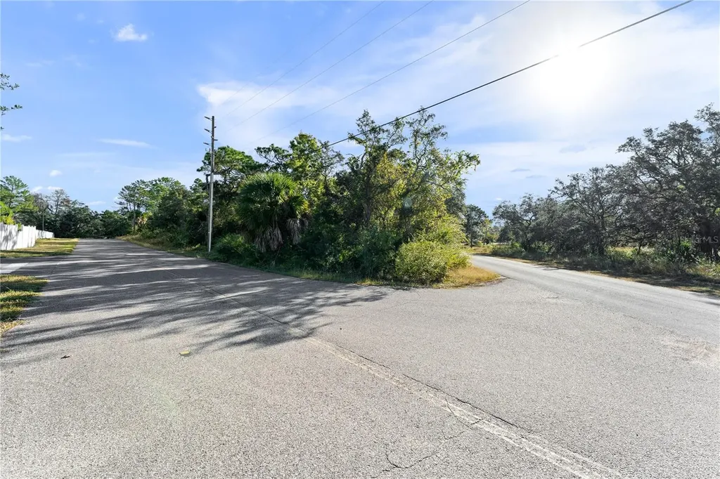 3560 Diagonal Lane Spring Hill FL 34606