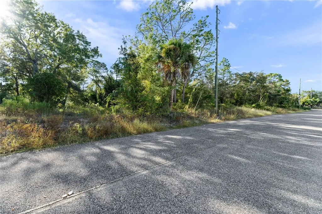 3560 Diagonal Lane Spring Hill FL 34606