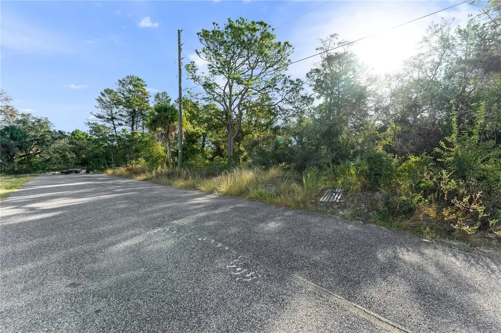 3560 Diagonal Lane Spring Hill FL 34606