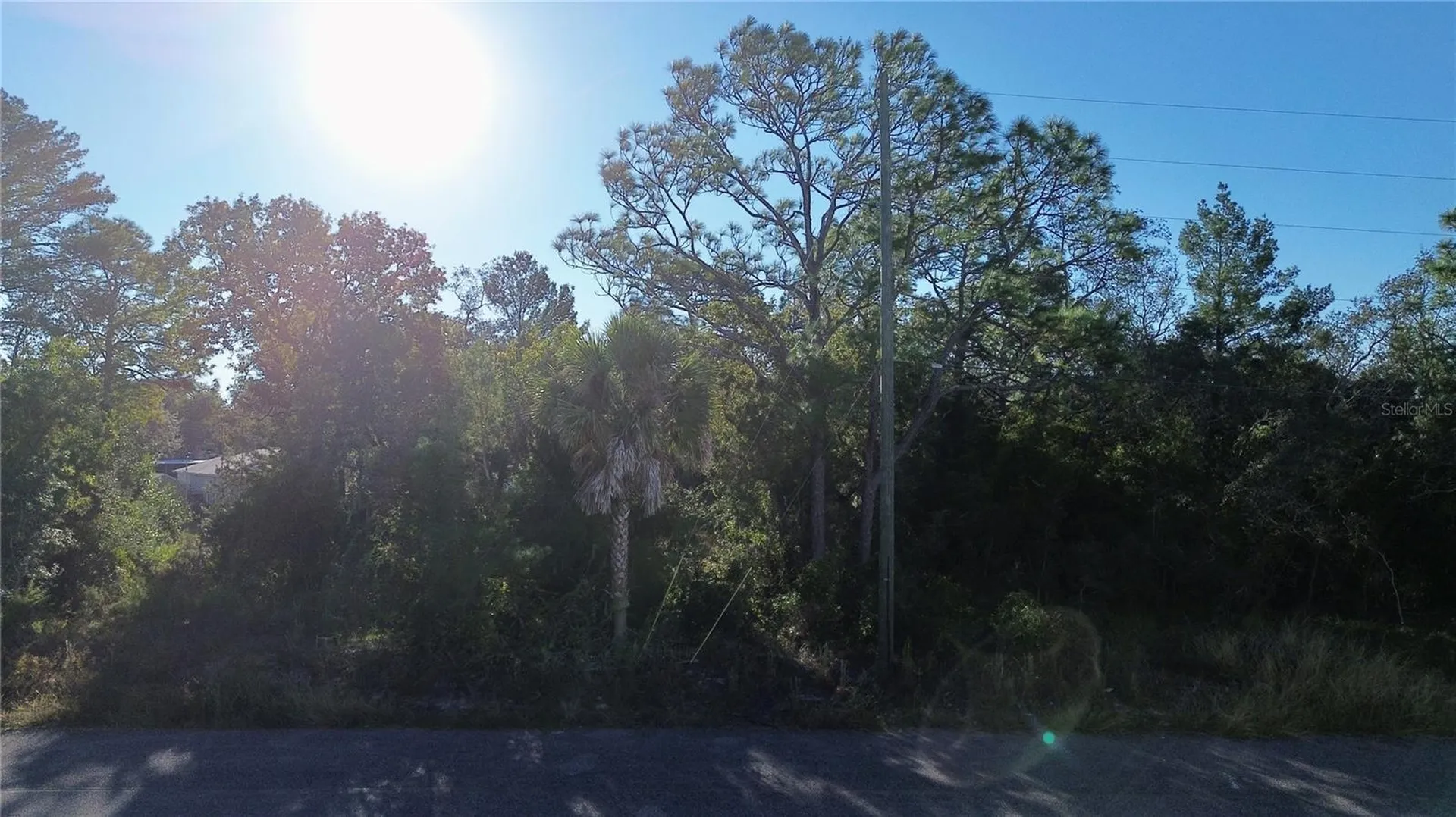 3560 Diagonal Lane Spring Hill FL 34606