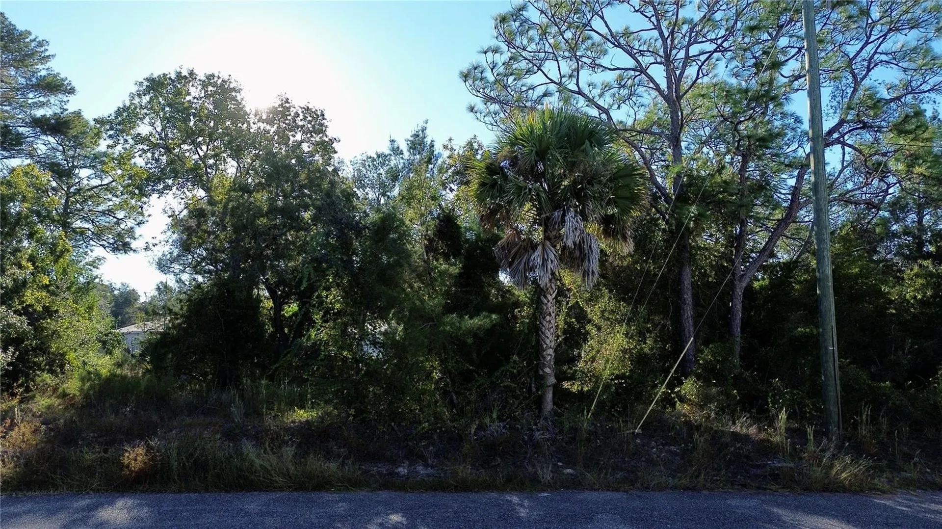 3560 Diagonal Lane Spring Hill FL 34606