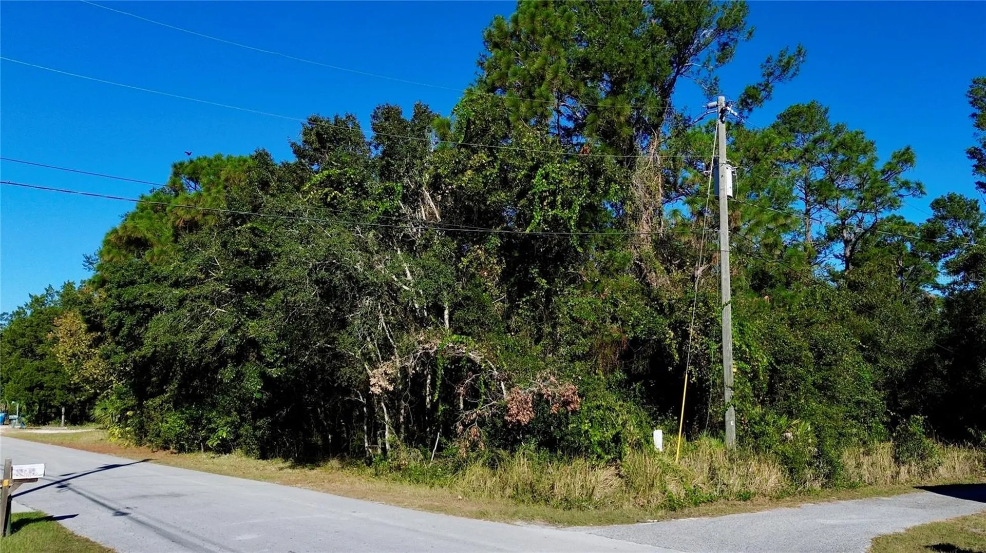 7049 Centerwood Avenue Spring Hill FL 34606