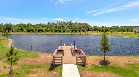12950 Pasture Woods Place Lithia FL 33547