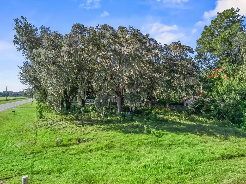 5528 S Us 301 Bushnell FL 33513