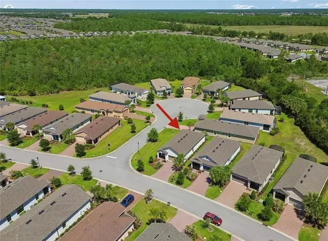 2201 Palm Tree Drive Kissimmee FL 34759