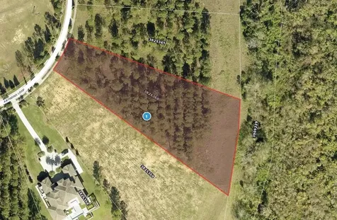 16842 Artimino Loop Montverde FL 34756