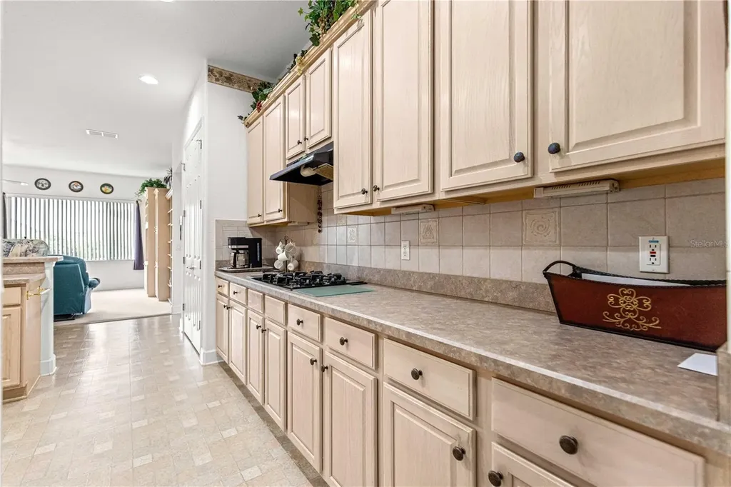 9330 SE 132nd Place Summerfield FL 34491