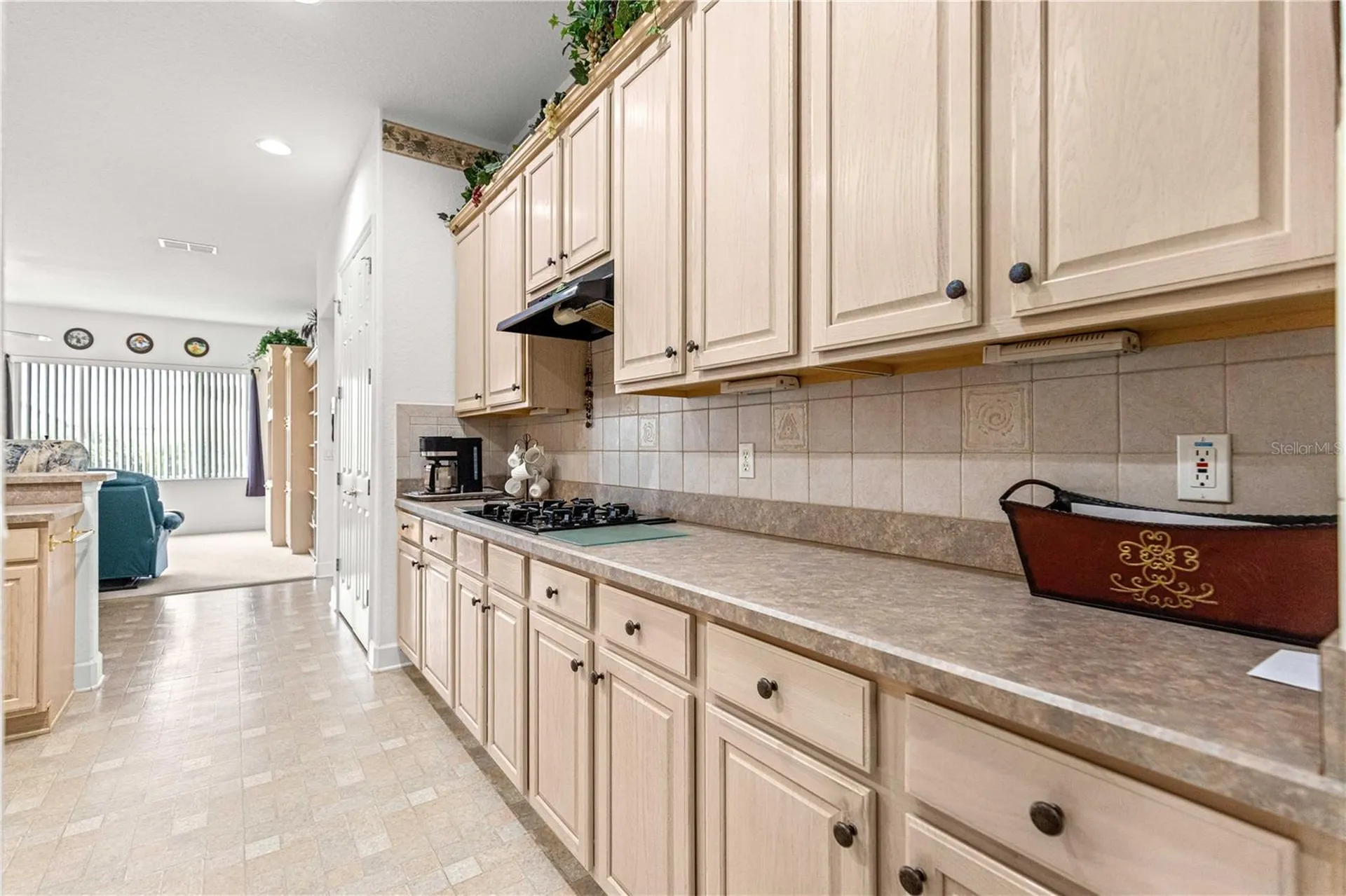9330 SE 132nd Place Summerfield FL 34491