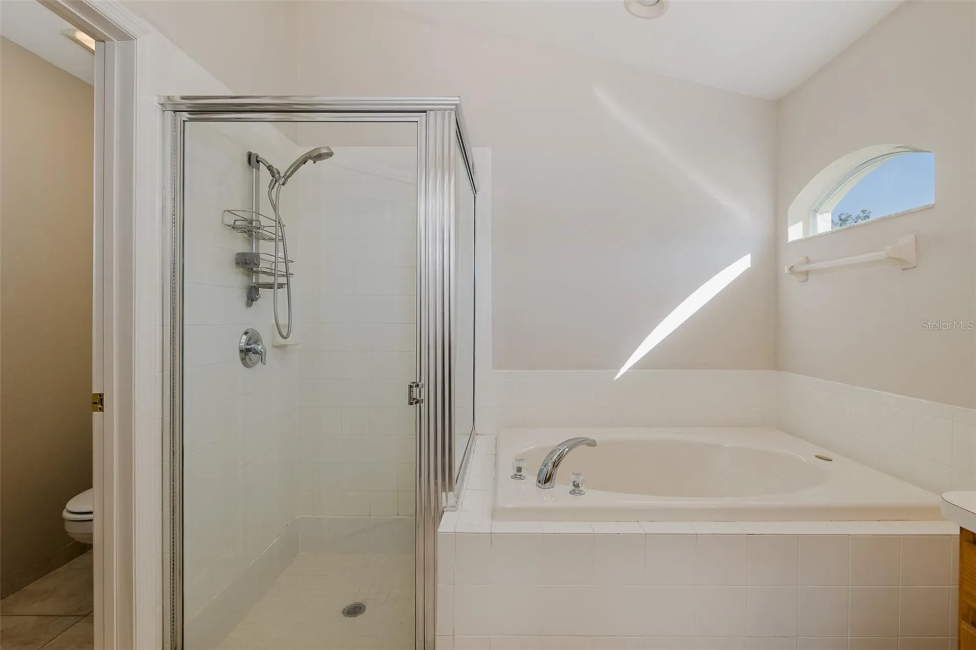 23836 Hastings Way Land O Lakes FL 34639
