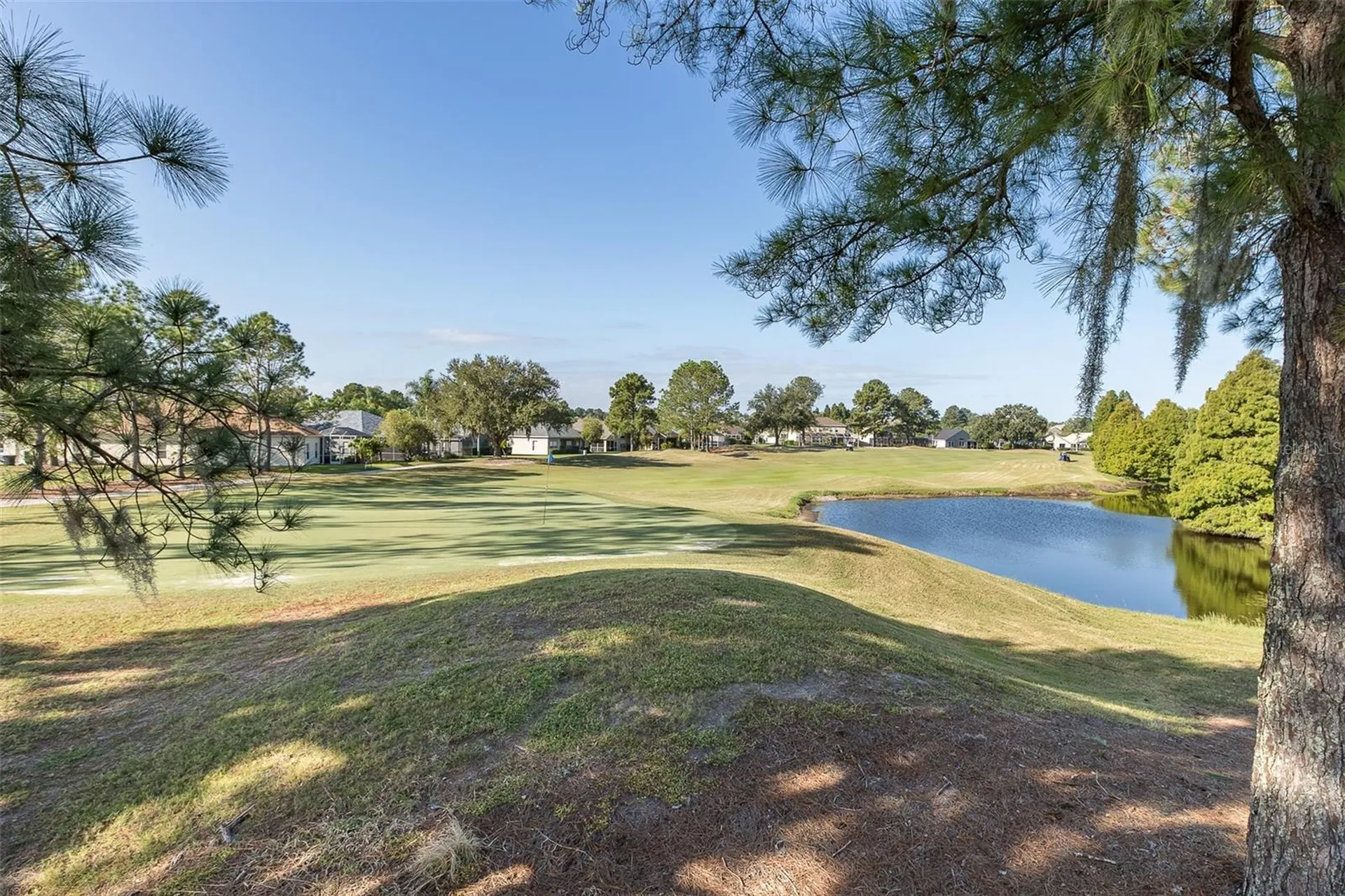 23836 Hastings Way Land O Lakes FL 34639