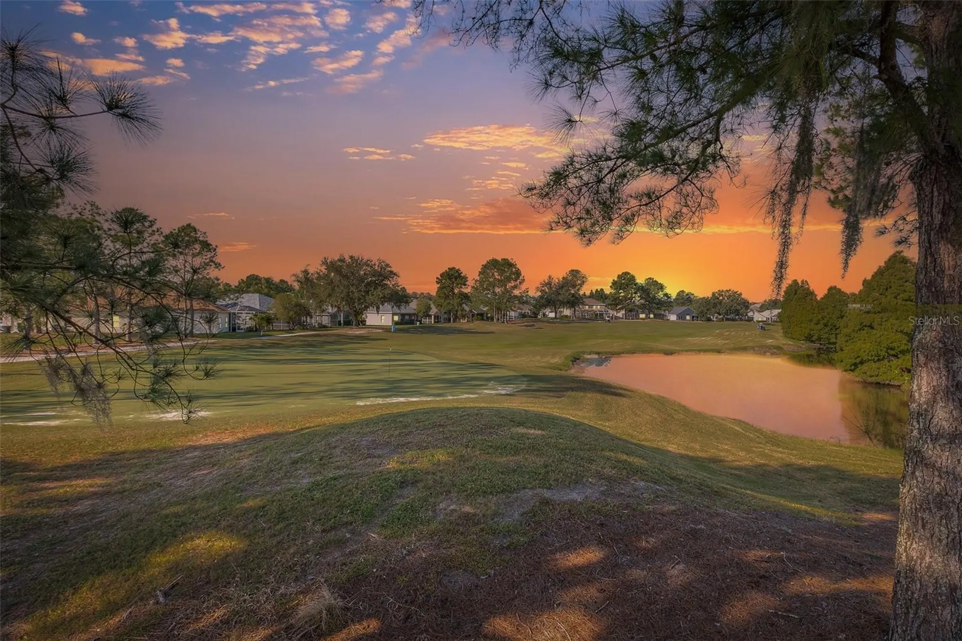 23836 Hastings Way Land O Lakes FL 34639