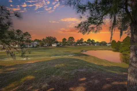 23836 Hastings Way Land O Lakes FL 34639